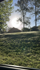 Expertly installed roofs by True Force Roofing, showcasing quality craftsmanship and superior materials for homes in Gainesville, Florida.
